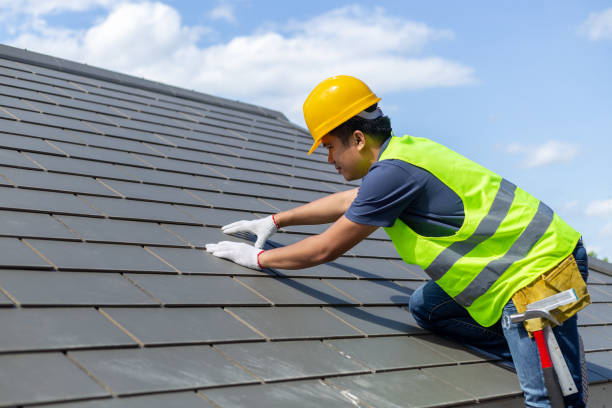 Best Local Roofing Companies  in Parkwood, WA